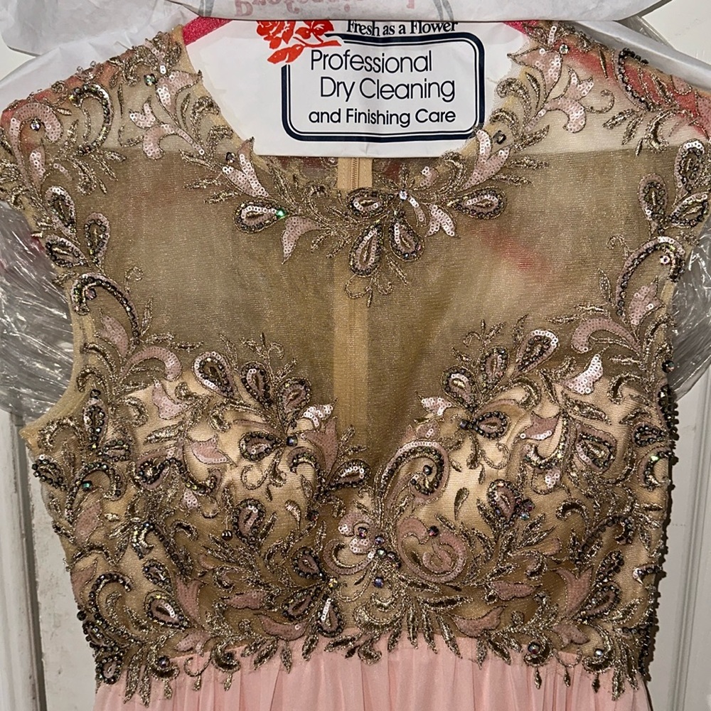 Cinderella Devine Pink Gown